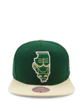 Mitchell & Ness Chicago Bulls State Outline baseball cap