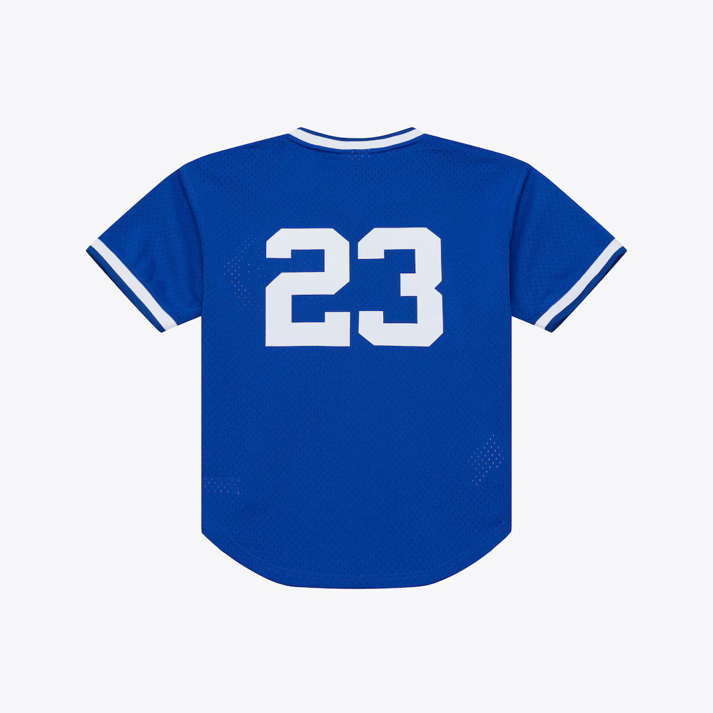 M&N Chicago Cubs 1984 Ryne Sandberg Authentic Batting Practice Pullover Jersey